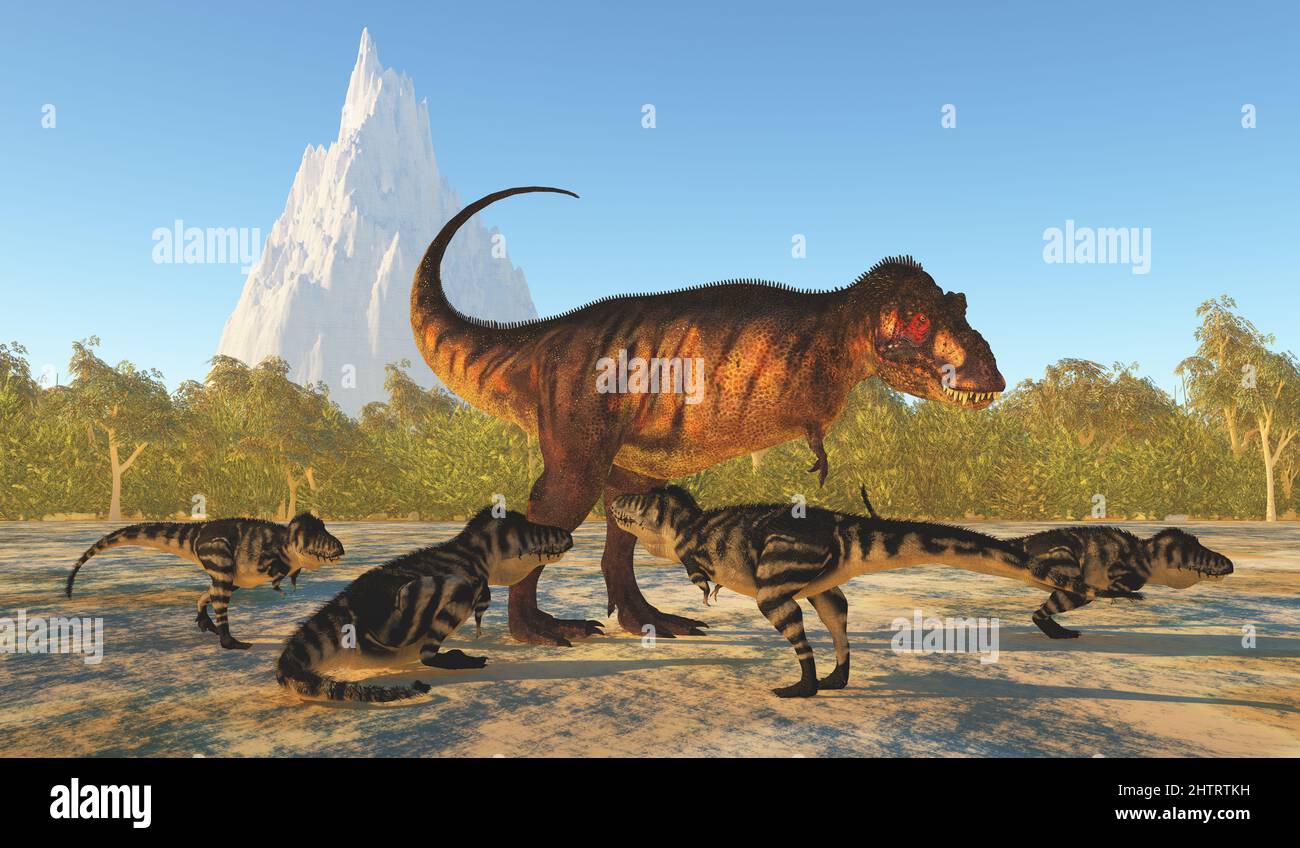 Los jóvenes de Tyrannosaurus rex rodean a su madre durante el período Cretácico de América del Norte. Foto de stock