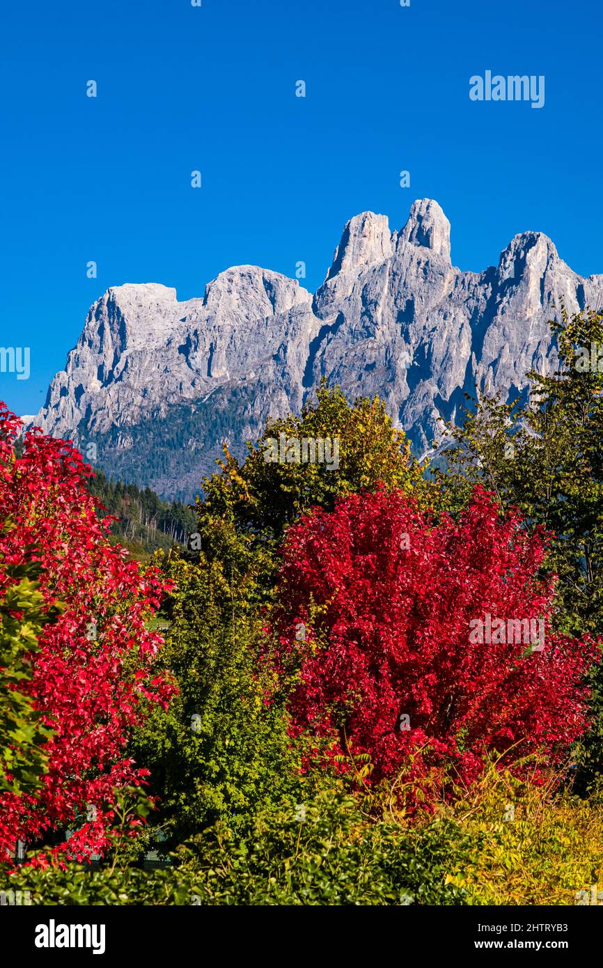 Cumbres principales y caras occidentales del grupo Pala, vistas desde Imer a través de coloridos árboles en otoño. Foto de stock