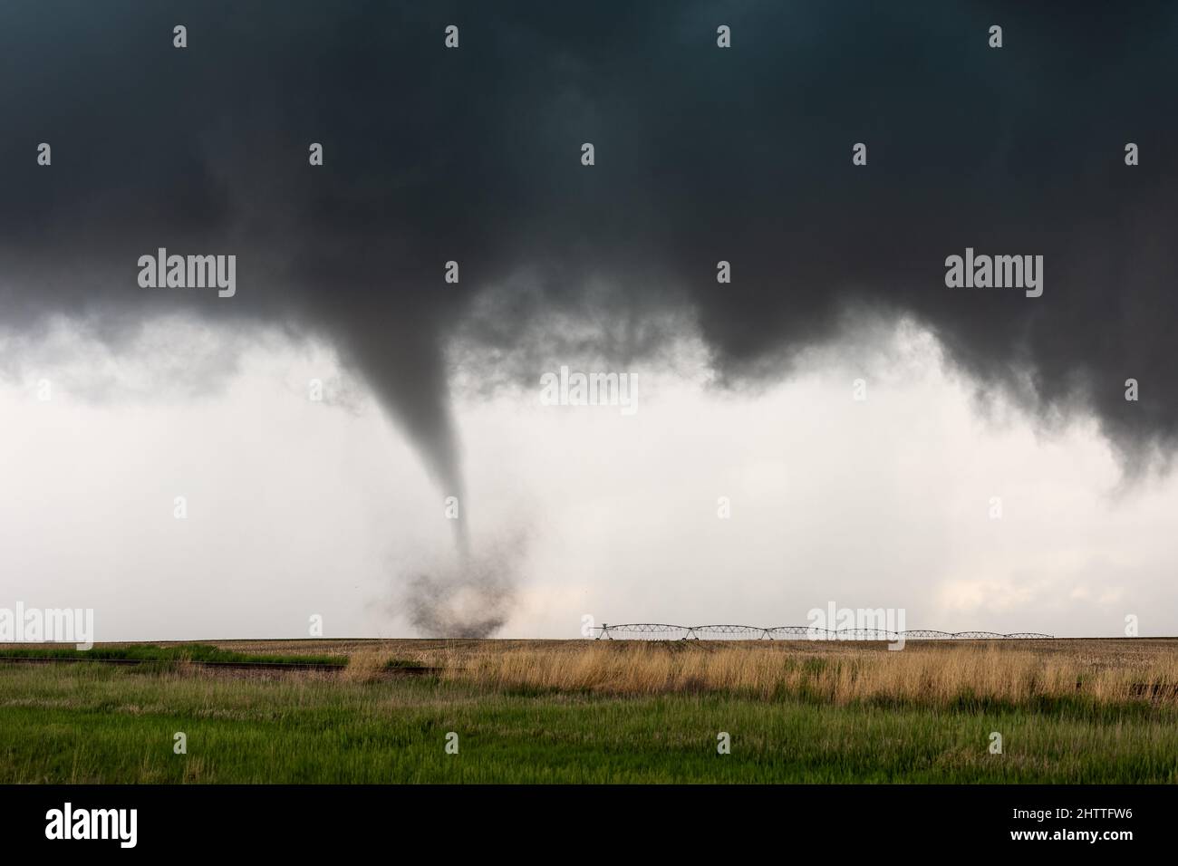 Embudo de tornado tocando abajo en una tormenta cerca de Selden, Kansas, EE.UU Foto de stock