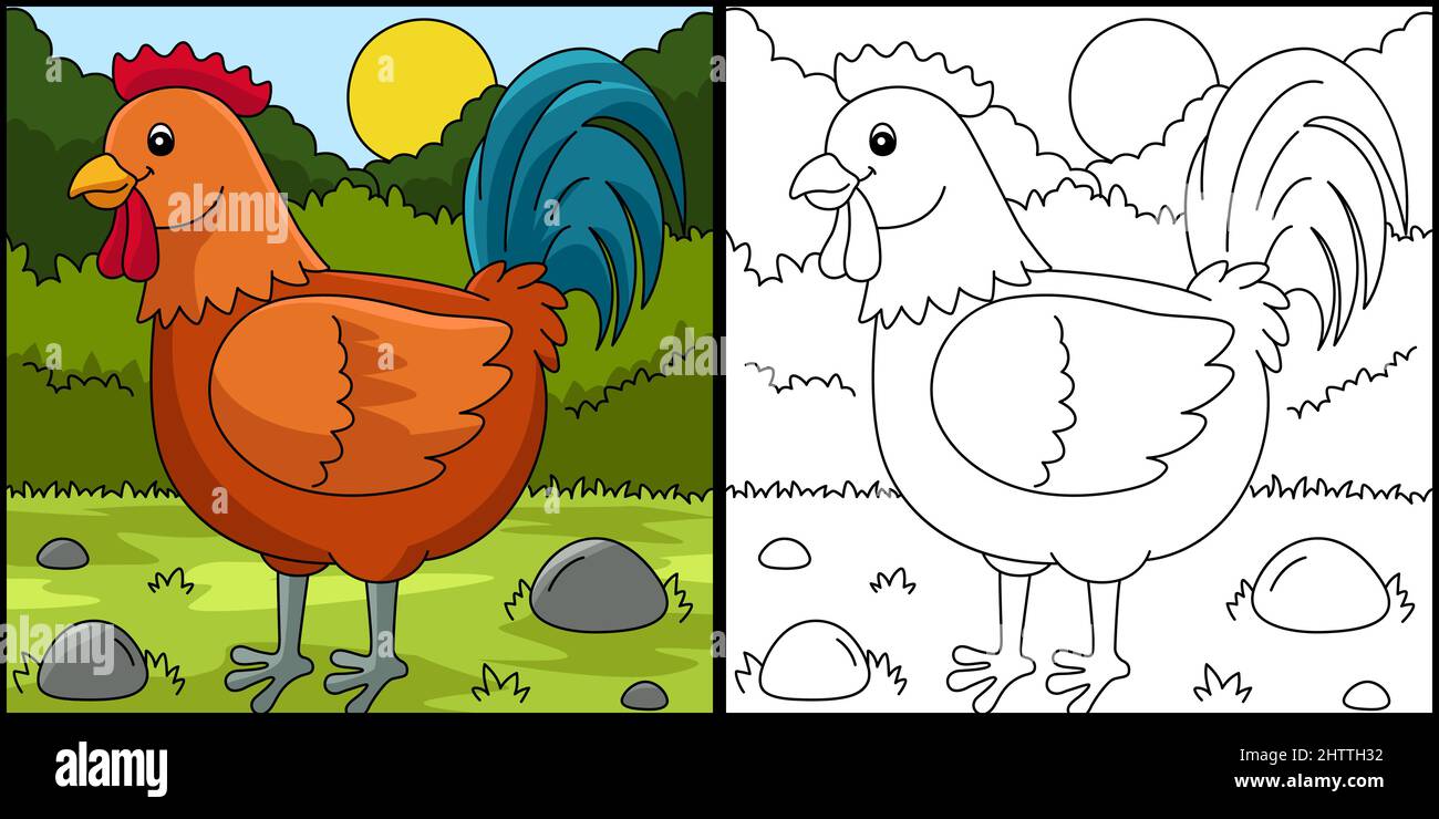 Rooster Coloring Page Color Ilustración Imagen Vector de stock - Alamy