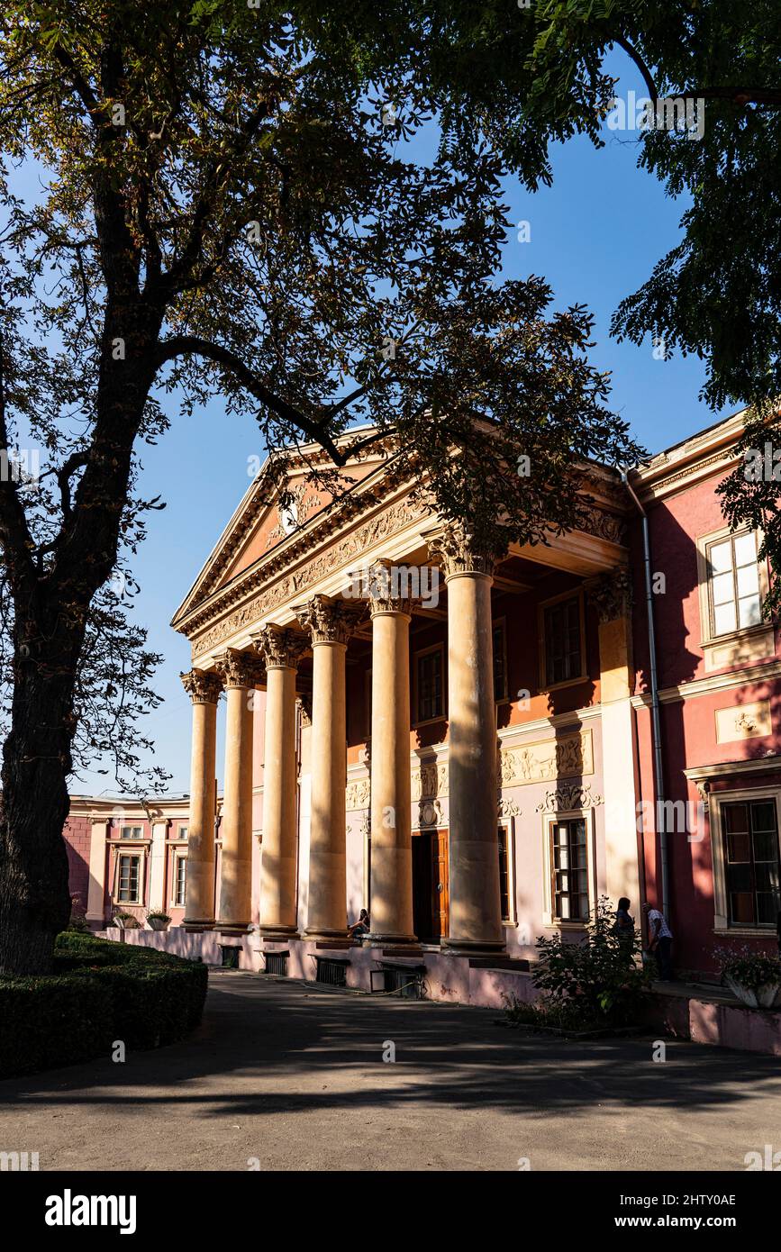 Museo de Bellas Artes de Odessa, Palacio de Potocki, arquitectura de principios del siglo 19th, Odessa, Ucrania Foto de stock