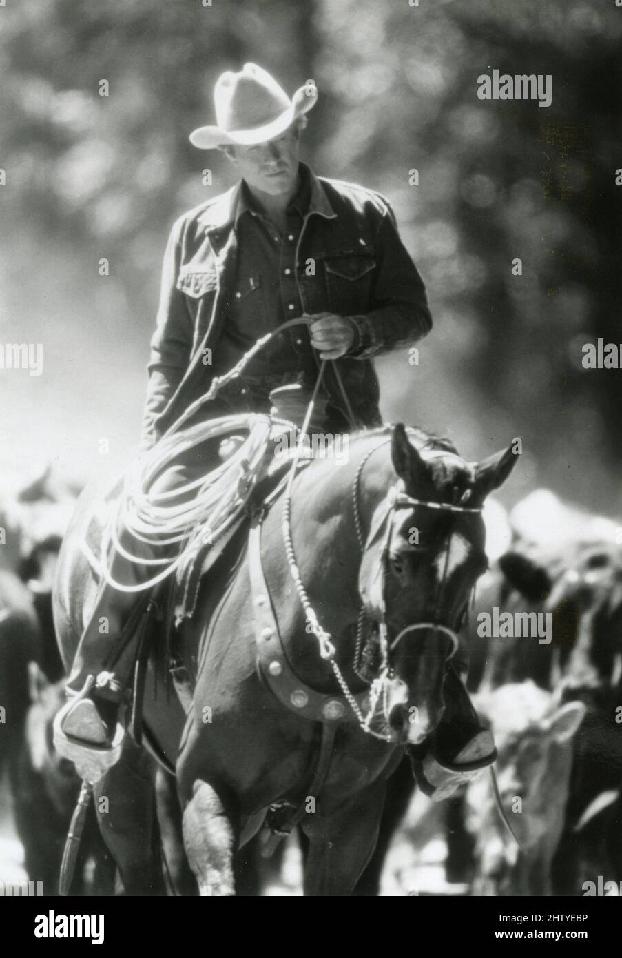 El actor estadounidense Robert Redford en la película The Horse Whisperer, USA 1998 Foto de stock