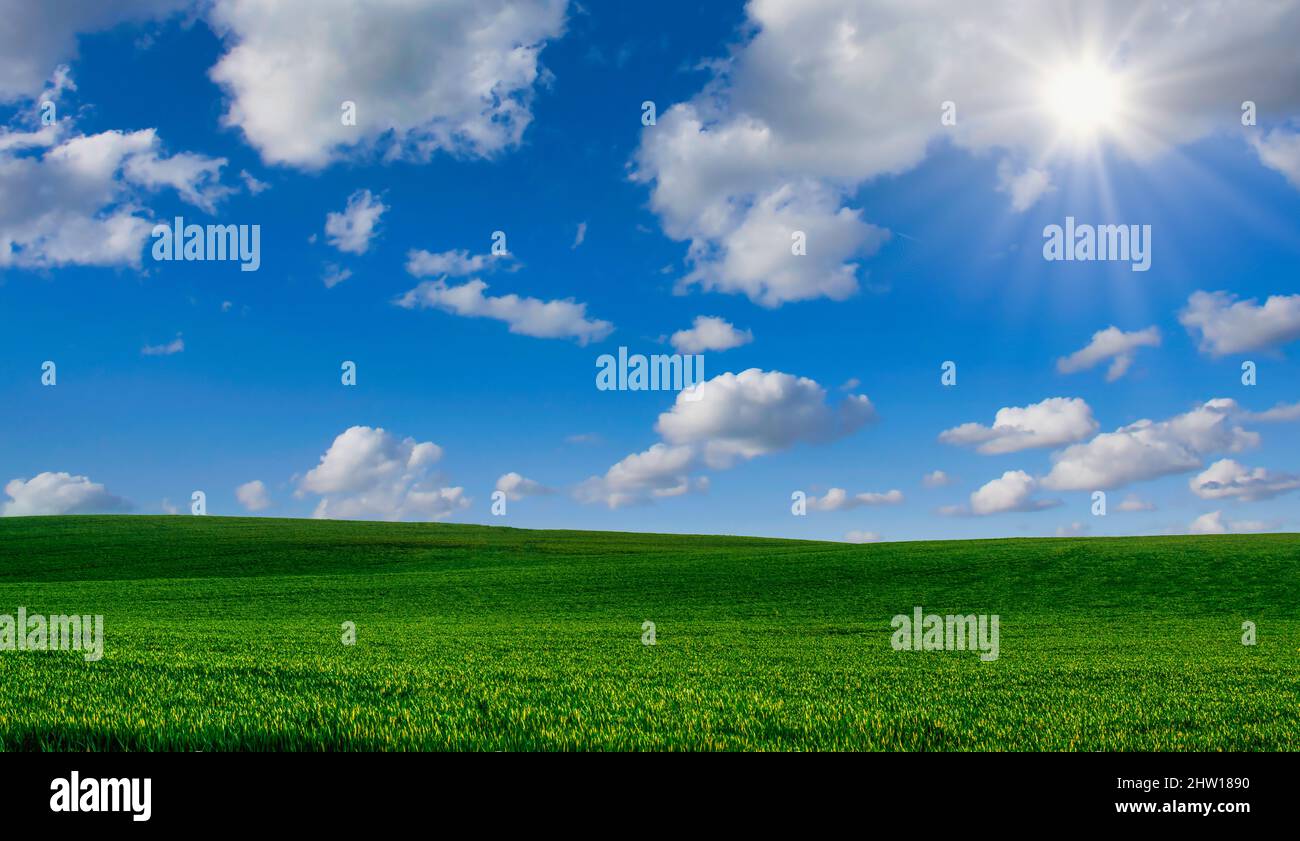 campo agrícola con cielo azul nublado y rayos de sol en verano con espacio de copia, concepto de energía limpia Foto de stock