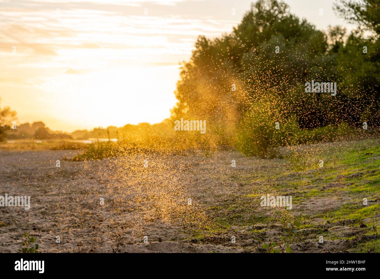 Francia, Indre y Loira, paisaje del Loira medio catalogado como