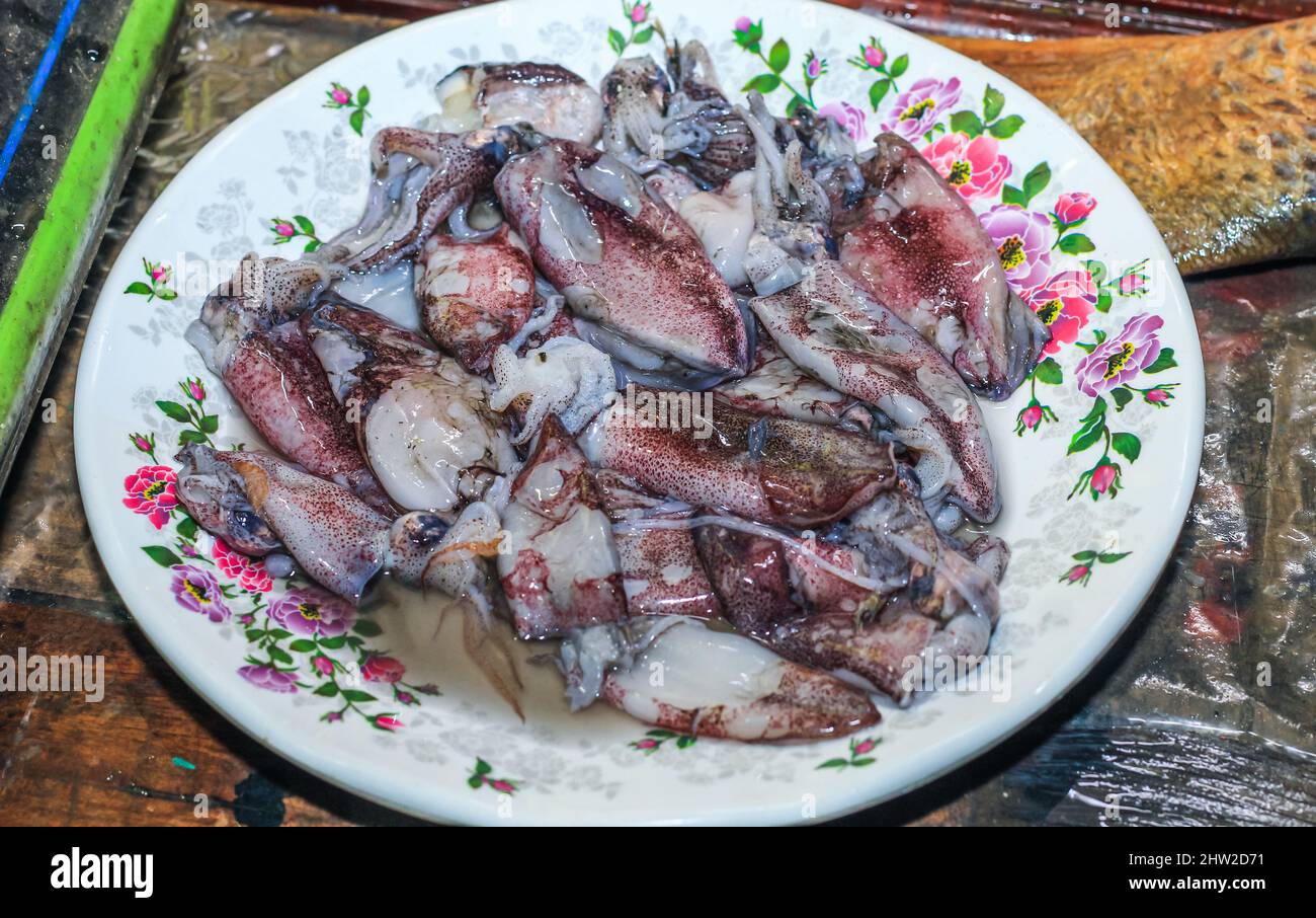 Calamares crudos en el plato. Pulpo recién hecho en el hielo en el mercado  de mariscos. Concepto de comida de mar Fotografía de stock - Alamy