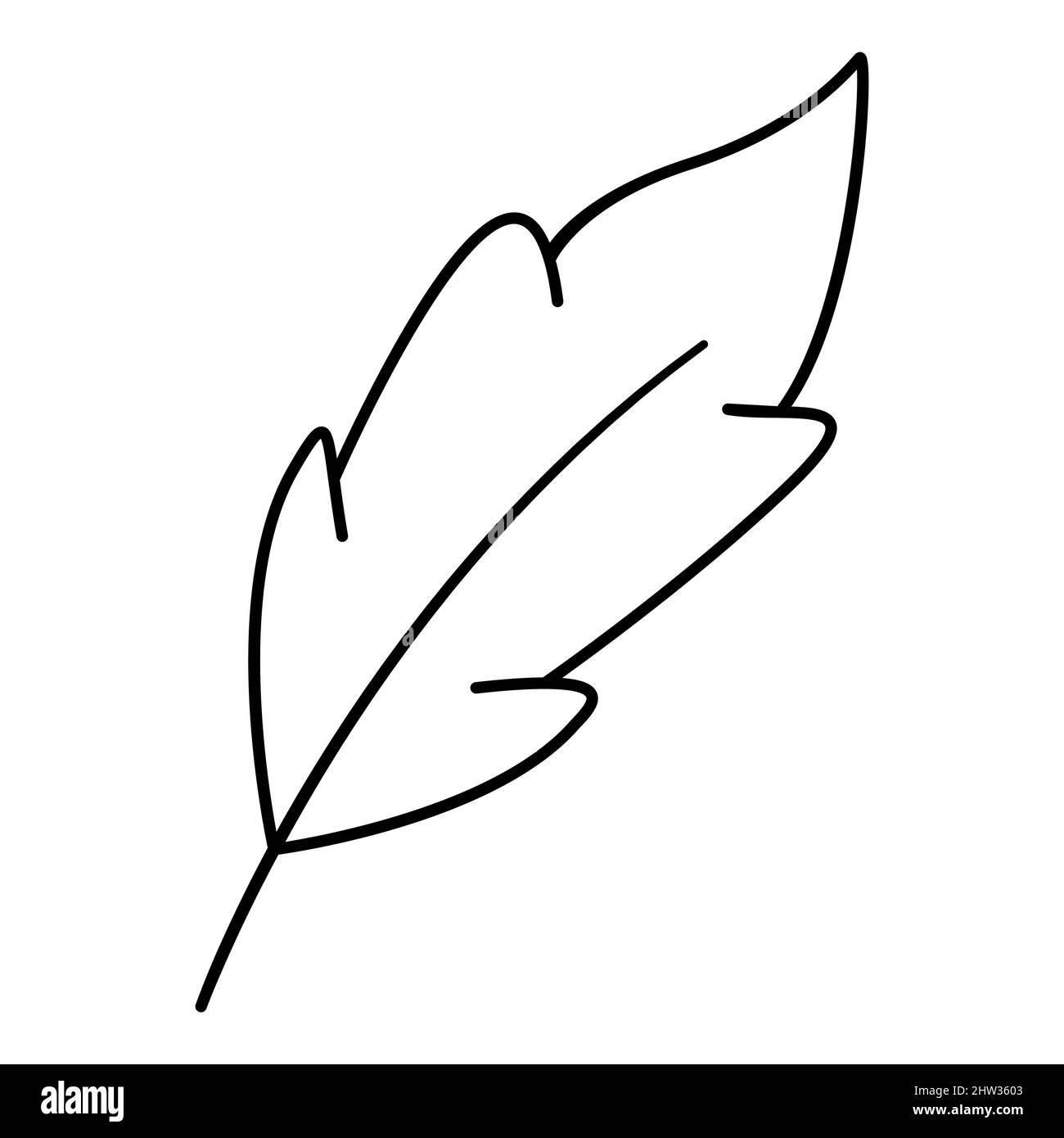 Pluma y tinta de dibujo de aves Imágenes de stock en blanco y negro - Alamy