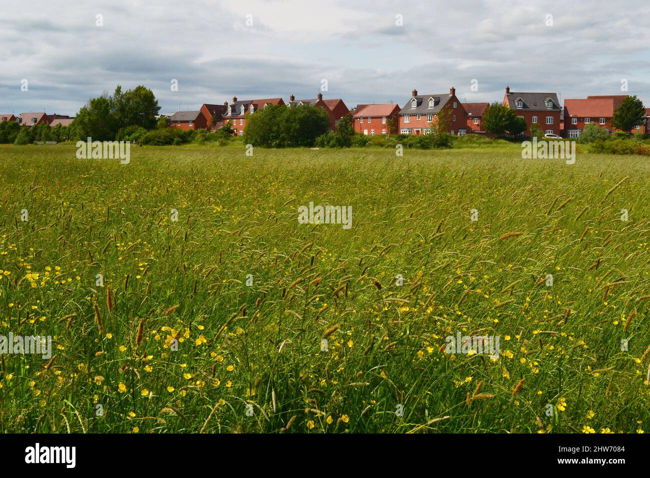 Vea a través de los campos a una nueva vivienda en Hailsham, East Sussex, Reino Unido Foto de stock