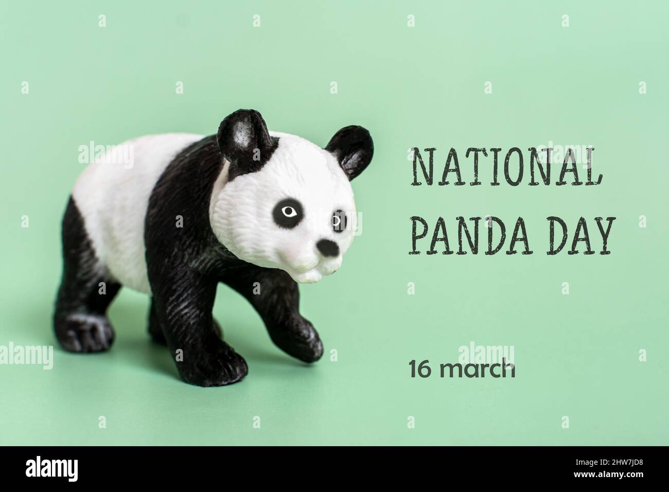 Día Nacional del Oso Panda - Tradiciones