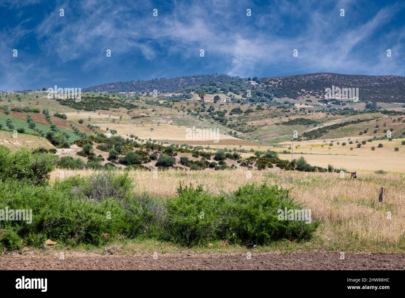 Rif campiña, tierras de cultivo, en el norte de Marruecos. Foto de stock