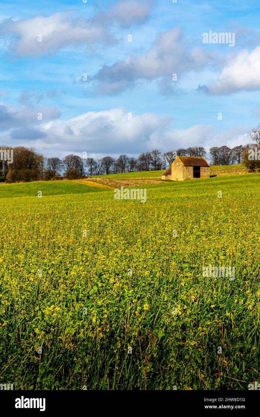 Granero de campo en el típico paisaje de Cotswolds en Bredon Hill cerca de Tewkesbury en Gloucestershire, Inglaterra, Reino Unido Foto de stock