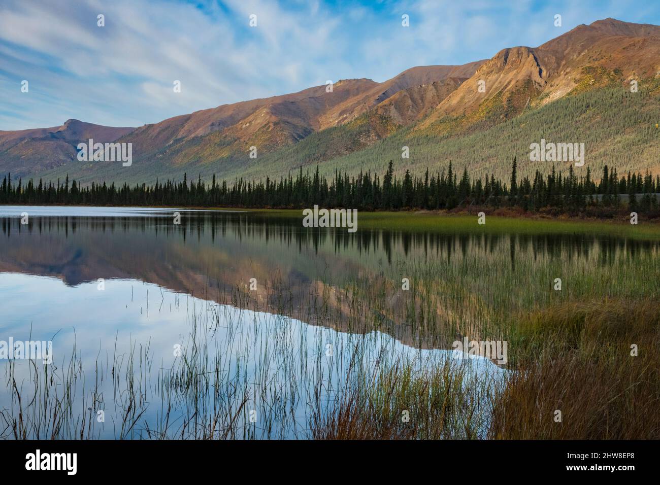 América del Norte; Estados Unidos; Alaska; Círculo Polar Ártico; Montañas Brooks Range; Otoño; a lo largo de la autopista Dalton Foto de stock