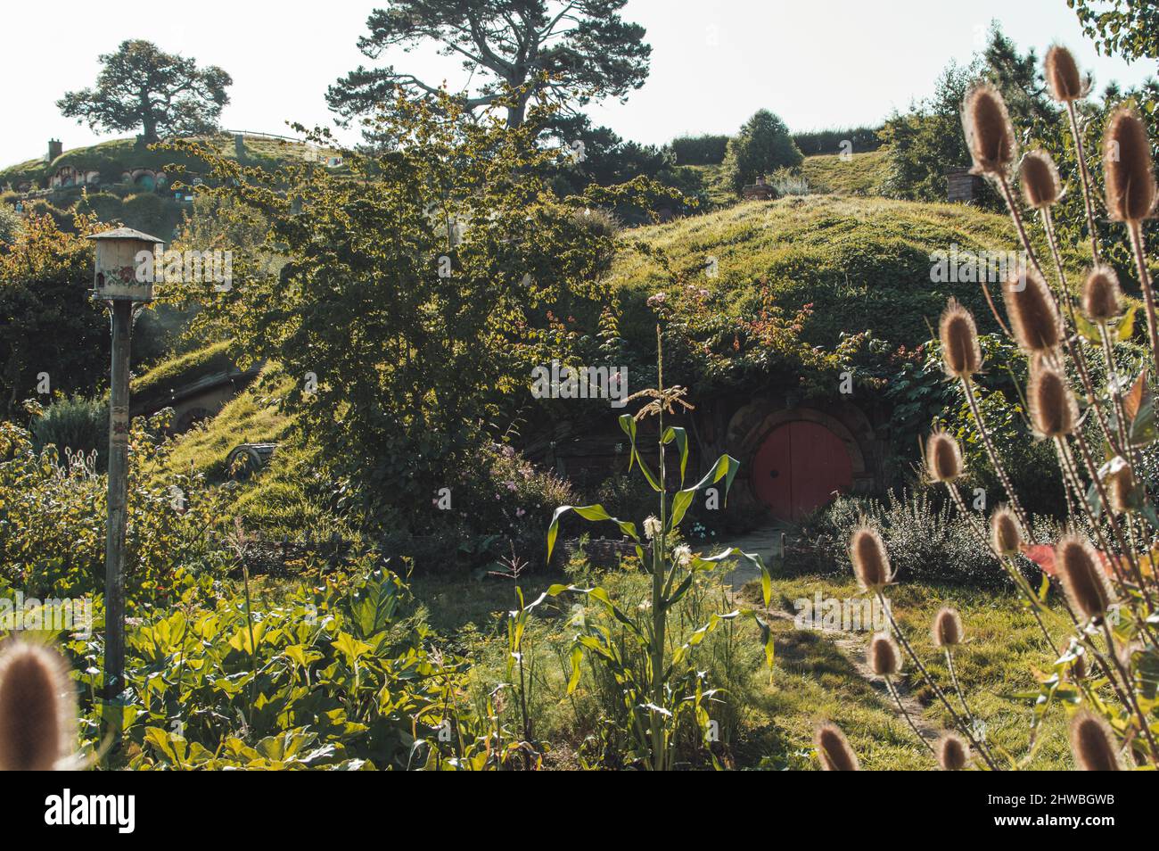 Película de Hobbiton en Nueva Zelanda Foto de stock
