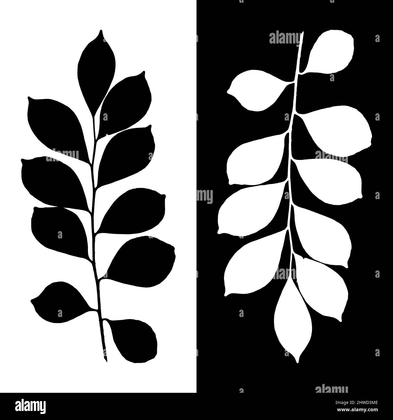 Ilustración de la silueta de la hoja en blanco y negro, versiones