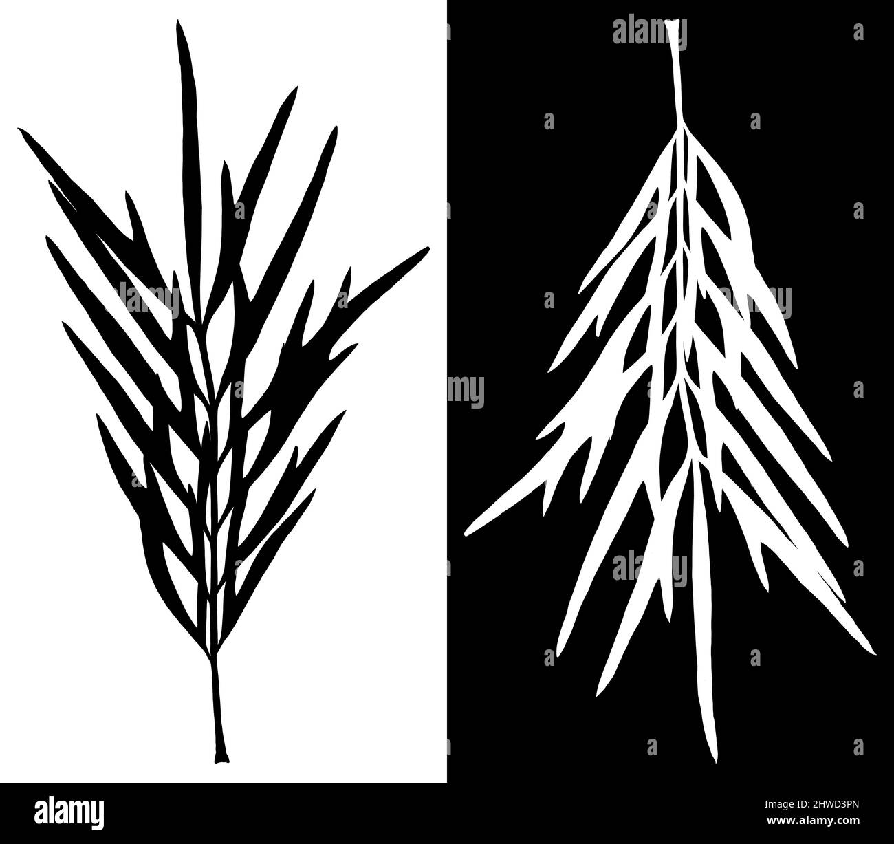 Ilustración de la silueta de la hoja en blanco y negro, versiones