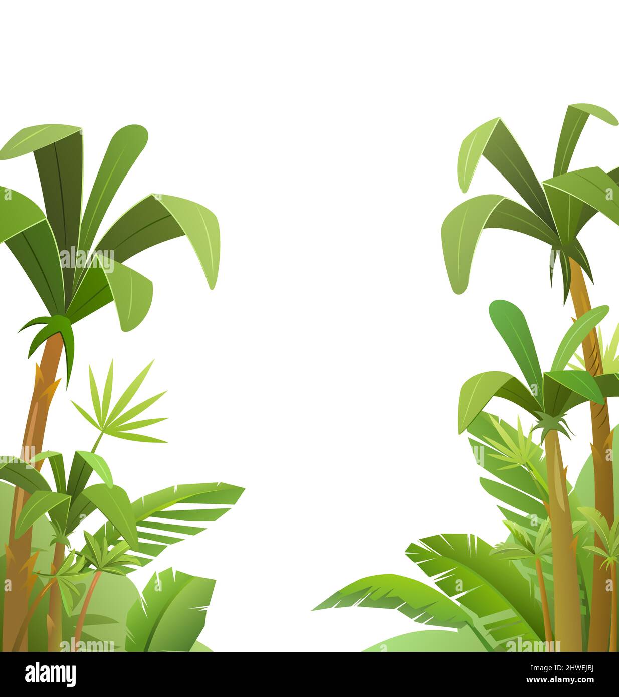 Palmeras aisladas en bosque tropical. Hojas de la selva. Hermoso