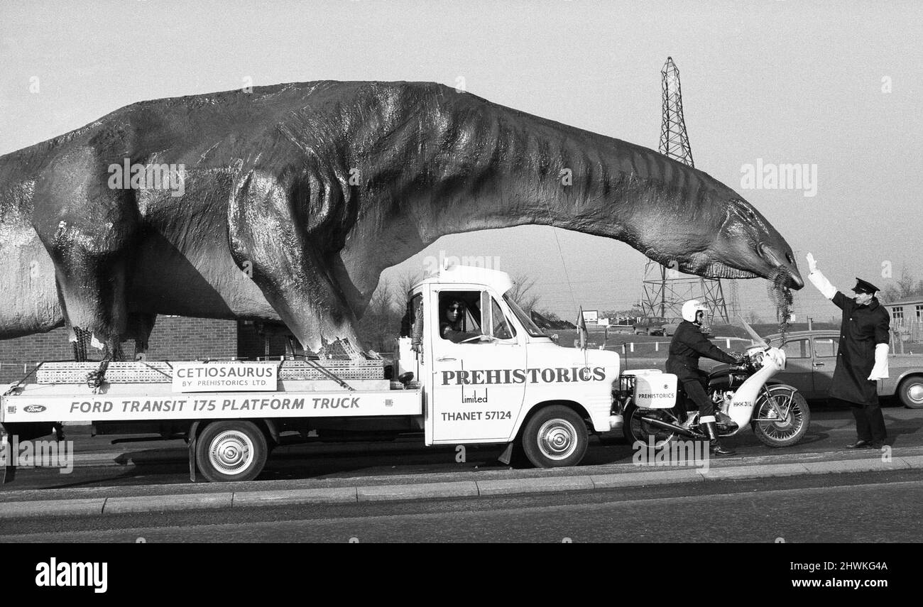 Un dinosaurio en movimiento en Essex. Un Cetiosaurus de 16 pies de alto y 45 pies de largo, una especie de dinosaurio, hecho por el Sr. Alan Ross, salió de Ramsgate esta mañana en ruta hacia Aviemore, Escocia, a través del túnel de Dartford. El modelo permanecerá durante dos o tres semanas en Canvey, mientras que otros monstruos prehistóricos hechos por el Sr. Ross se unirán a él antes de proceder a Escocia, donde el Sr. Ross está abriendo un parque prehistórico. El Cetiosaurus visto aquí en el lado de Kent del túnel de Dartford siendo sostenido por un oficial de control de tráfico antes de ser acompañado a través del túnel. 31st de enero de 1973 Foto de stock