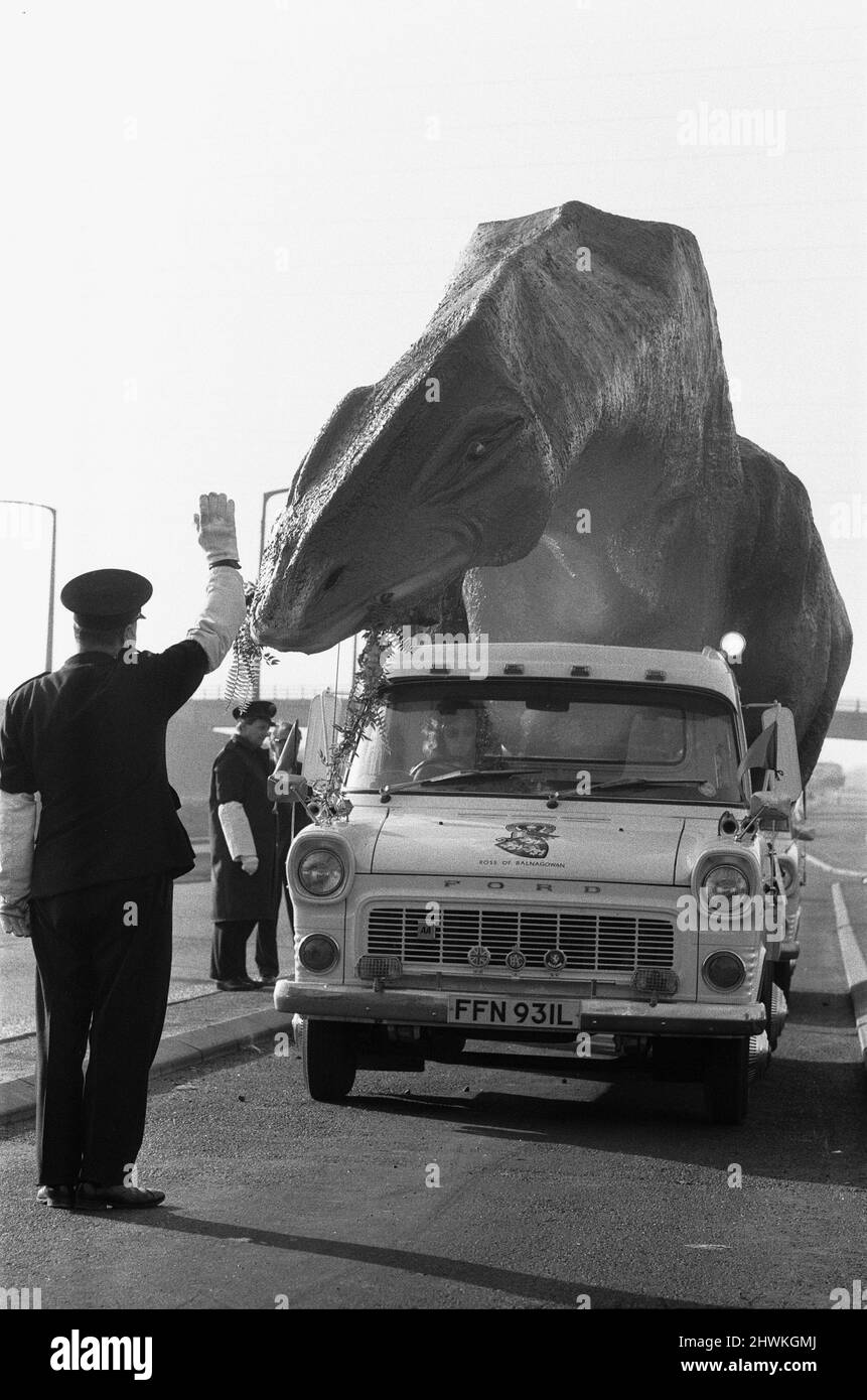 Un dinosaurio en movimiento en Essex. Un Cetiosaurus de 16 pies de alto y 45 pies de largo, una especie de dinosaurio, hecho por el Sr. Alan Ross, salió de Ramsgate esta mañana en ruta hacia Aviemore, Escocia, a través del túnel de Dartford. El modelo permanecerá durante dos o tres semanas en Canvey, mientras que otros monstruos prehistóricos hechos por el Sr. Ross se unirán a él antes de proceder a Escocia, donde el Sr. Ross está abriendo un parque prehistórico. El Cetiosaurus visto aquí en el lado de Kent del túnel de Dartford siendo sostenido por un oficial de control de tráfico antes de ser acompañado a través del túnel. 31st de enero de 1973 Foto de stock