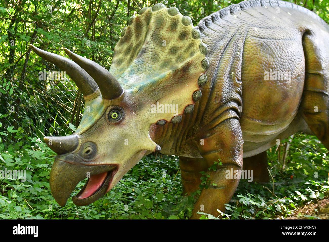 Triceratops Dinosaur en la ruta del bosque en Birdland Park and Gardens en Bourton-on-the-Water, Gloucestershire, Reino Unido Foto de stock