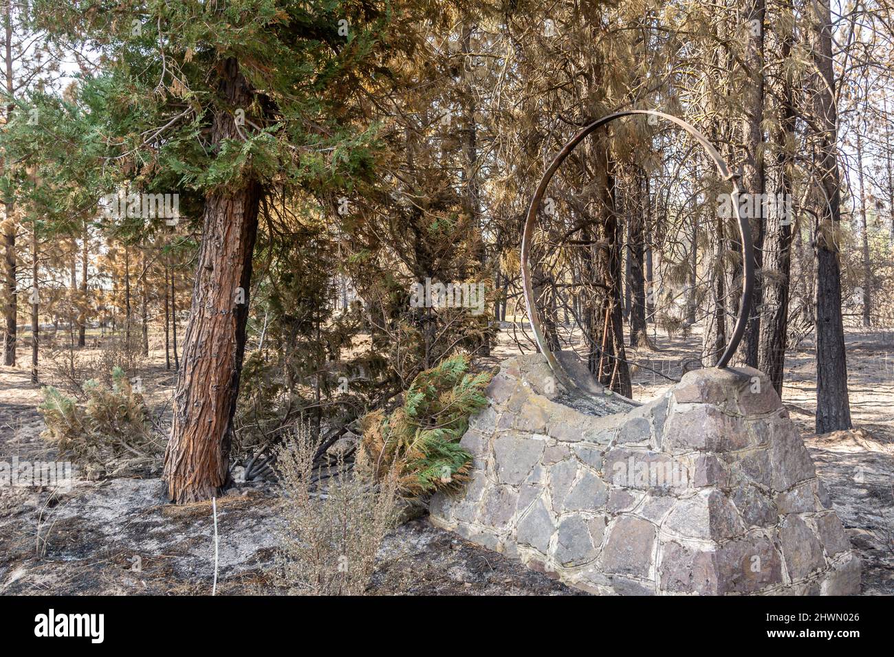Daños por incendios provocados por incendios forestales de Oregón Foto de stock