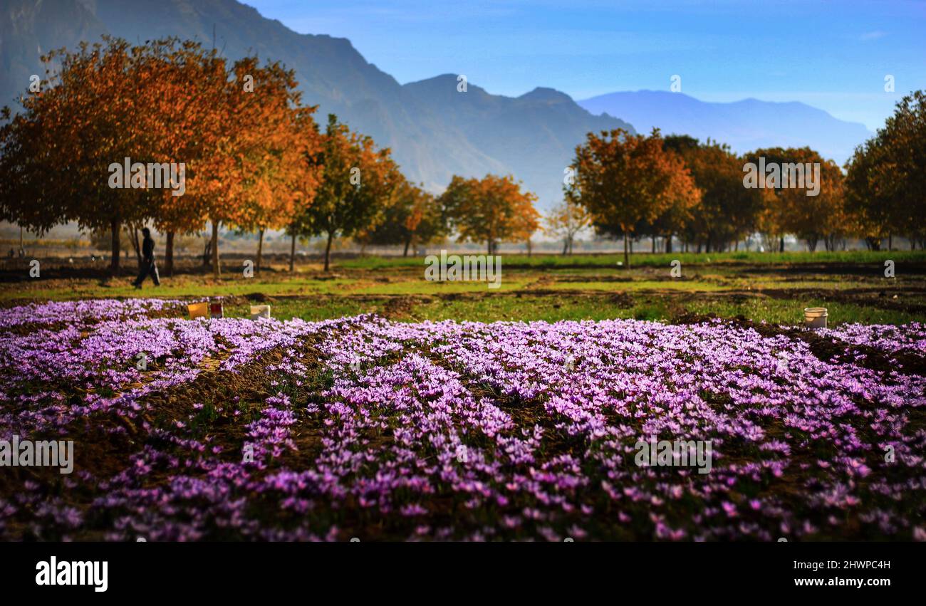 Naturaleza rural y prístina alrededor de Shiraz. Que es muy limpio y agradable. Foto de stock