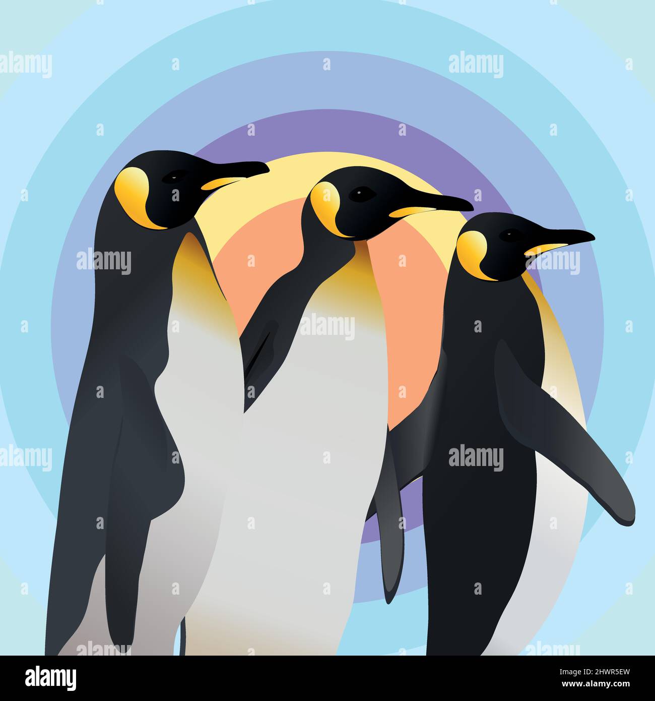 Resumen Diseño de tres pingüinos sobre fondo abstracto del círculo  geométrico. Fondo de pantalla geométrico. Ilustración vectorial Imagen  Vector de stock - Alamy