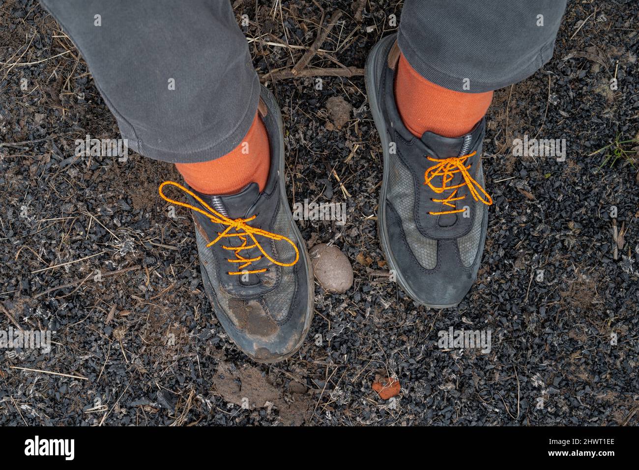 Un hombre con calcetines y zapatos naranjas con cordones naranjas. Foto de stock