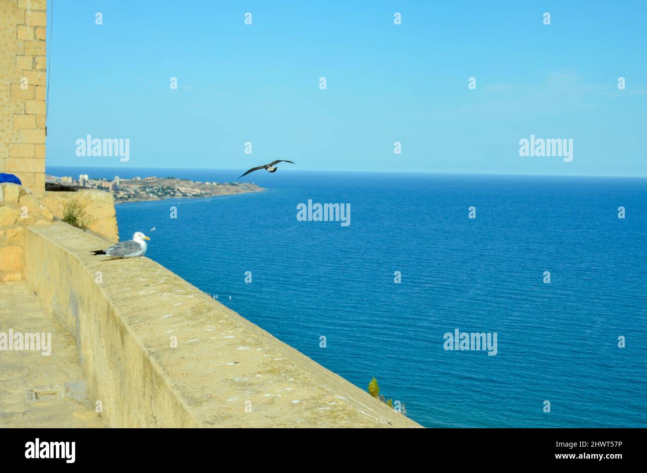 Alicante, España - Julio 17 2019: Vista desde el Castillo de Santa Bárbara hasta el Mar Mediterráneo frente a Alicante. En la pared del castillo se encuentra un seagu Foto de stock