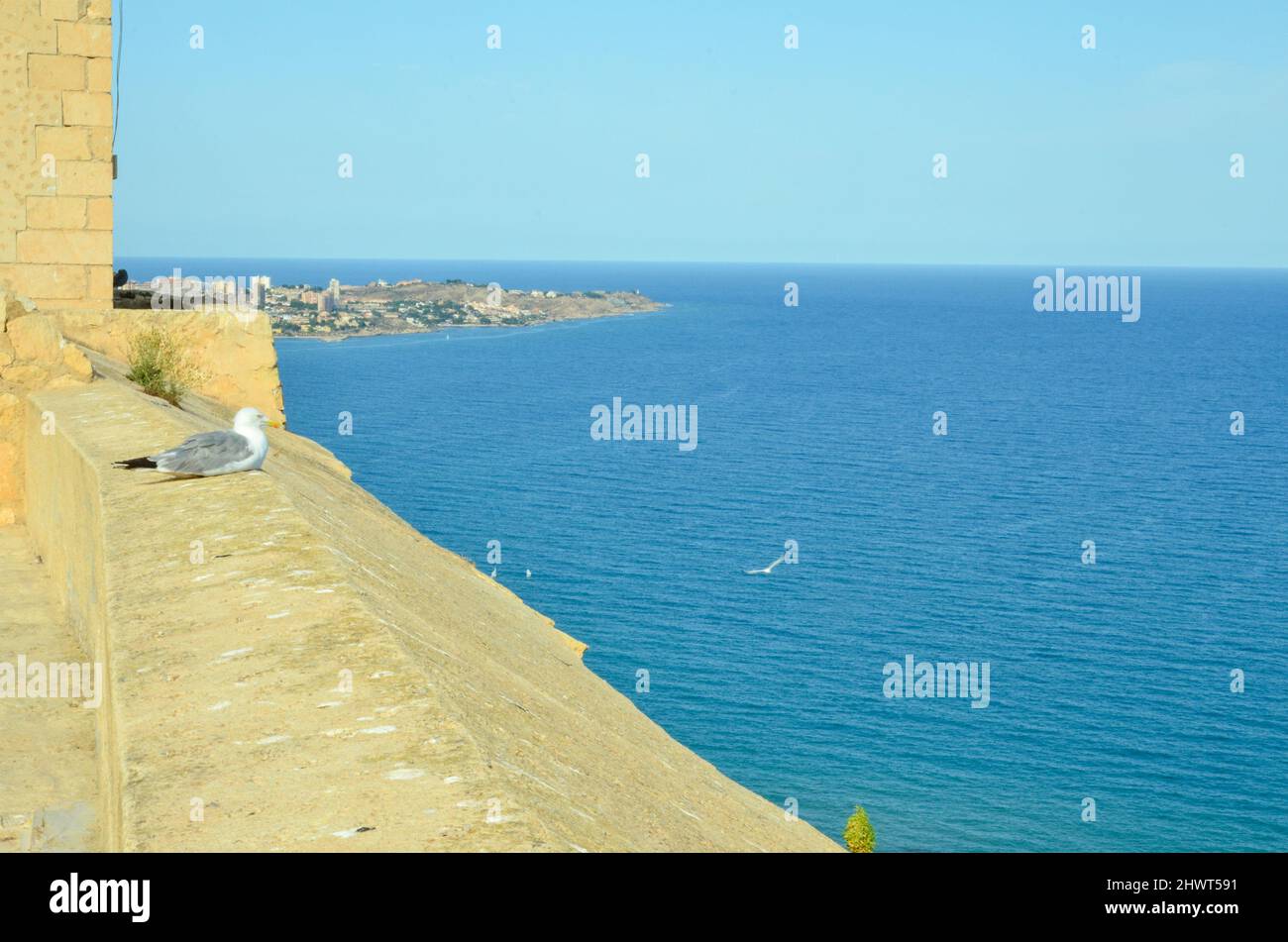 Alicante, España - Julio 17 2019: Vista desde el Castillo de Santa Bárbara hasta el Mar Mediterráneo frente a Alicante. En la pared del castillo se encuentra un seagu Foto de stock