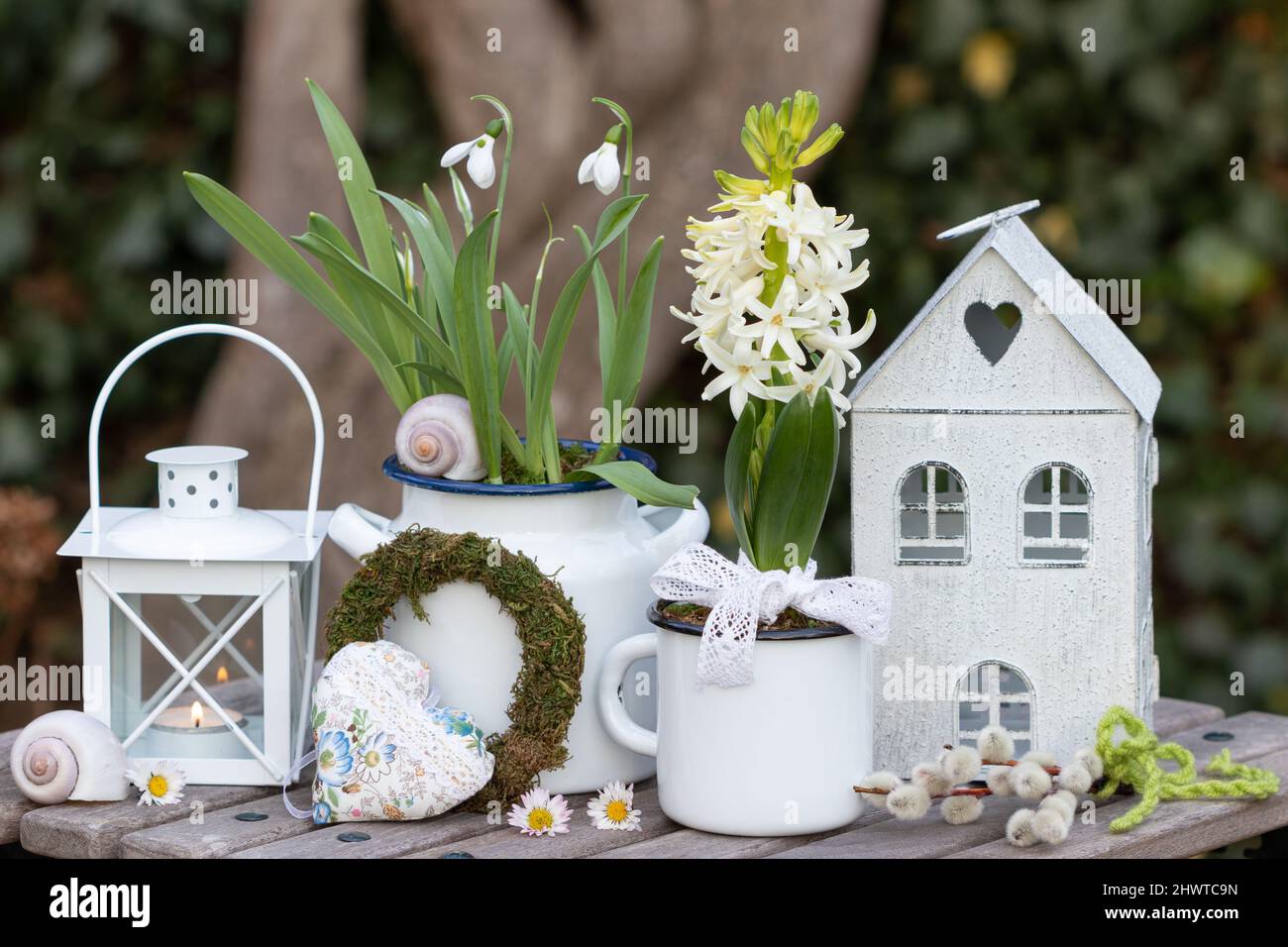 decoración jacinto blanco y gotas de nieve en macetas y en el jardín Fotografía stock - Alamy