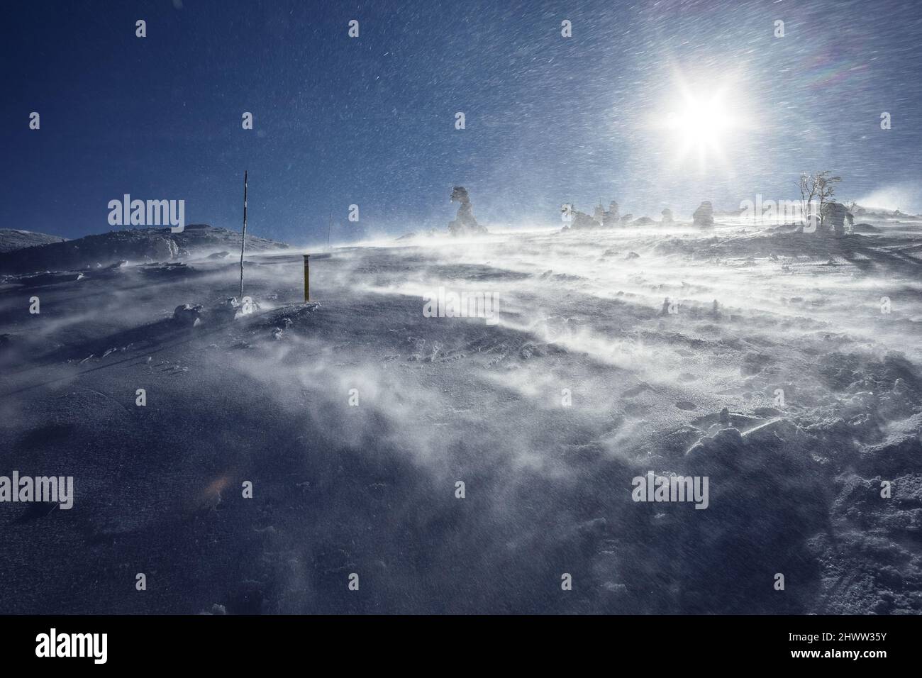 Mala Fatra, Eslovaquia - Un clima soleado y ventoso en las montañas en invierno y en invierno. Nieve, hielo y heladas en el aire. Destellos de lente y. Foto de stock