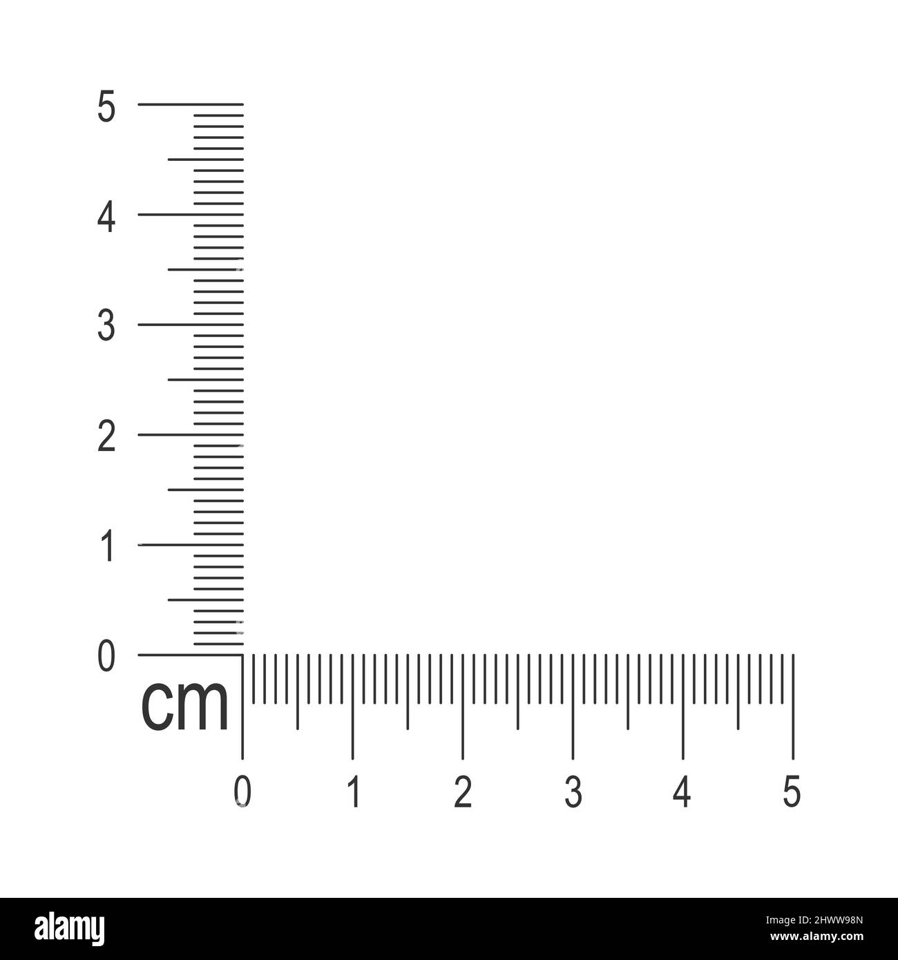 Pez anémona Masaccio microondas plantilla de regla de esquina de 5 centímetros. Herramienta de medición con  líneas verticales y horizontales con marcas y números de centímetros y  milímetros. Ilustración de contorno vectorial aislada sobre fondo blanco