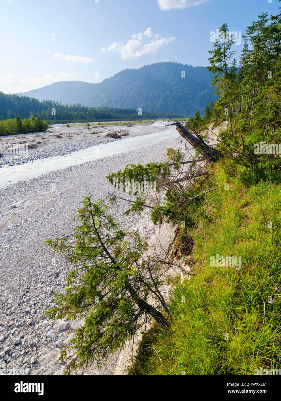Creek Rissbach, uno de los pocos ríos trenzados salvajes en Alemania, cerca de Vorderriss pueblo en las montañas de Karwendel. Europa, Alemania, Baviera Foto de stock