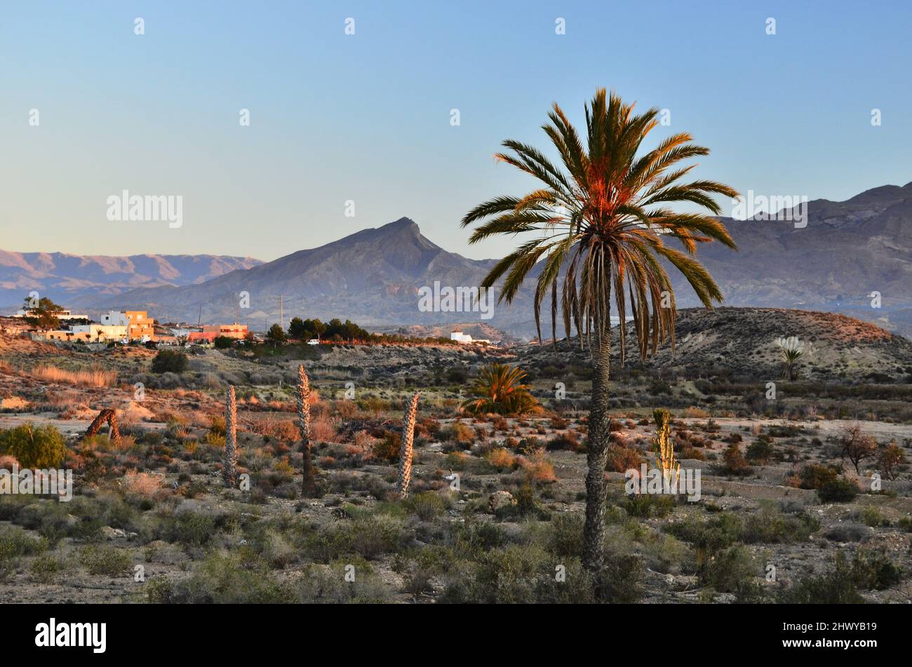 Paisaje árido de césped con colinas del desierto de Tabernas, uno de los verdaderos semidesiertos de Europa situado en Almería sur de España. Foto de stock