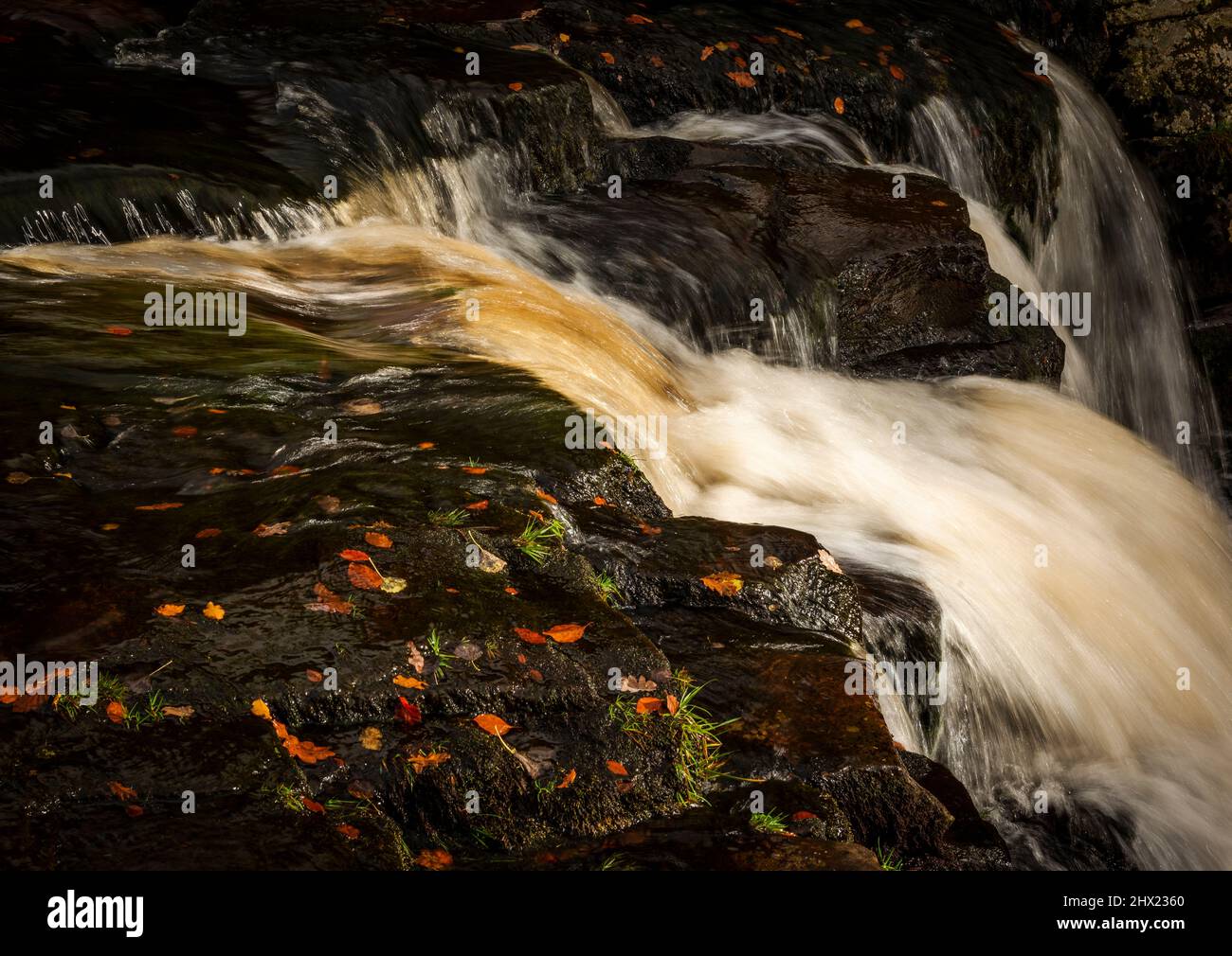 Los rápidos de la cascada tres cabezas de los aires, el borde de Ax Moor, donde Cheshire, Derbyshire y Staffordshire se encuentran, Inglaterra, Reino Unido Foto de stock