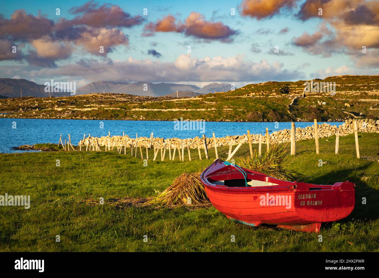 Barco sobre hierba por Lough Aughrusbeg, Connemara, Condado de Galway, Irlanda. Foto de stock