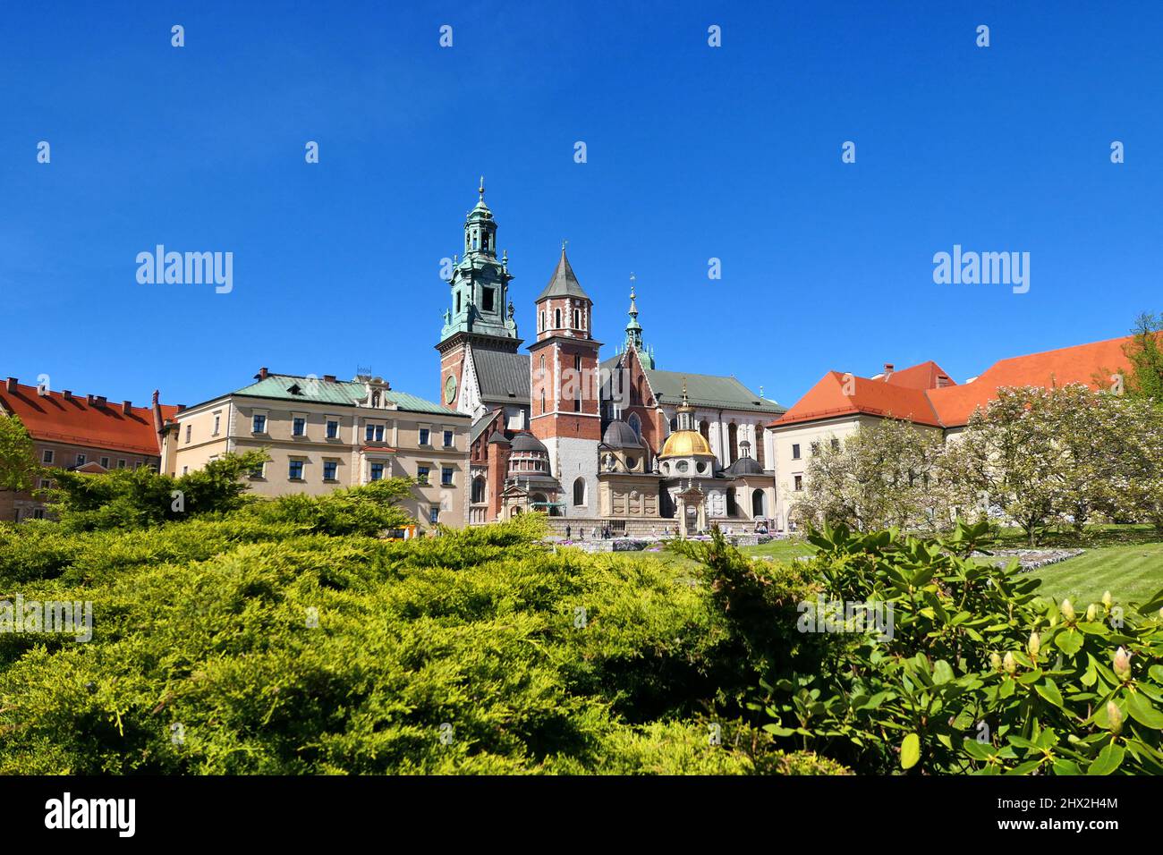 Cracovia, castillo de Wawel en primavera, Polonia, Europa. Foto de stock