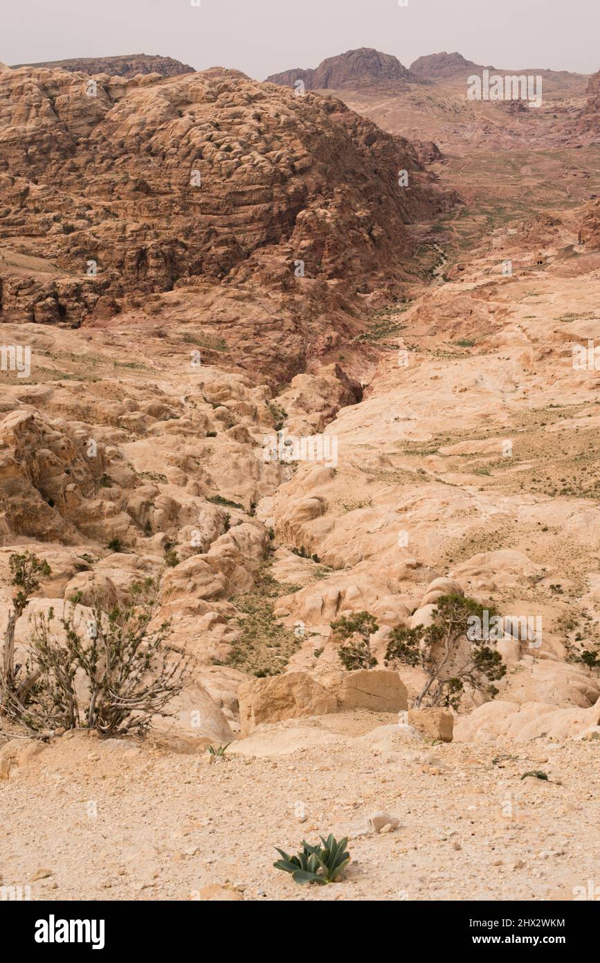 Petra, vista panorámica (Patrimonio de la Humanidad de la UNESCO). Gobernación de MA'an, Jordania. Foto de stock