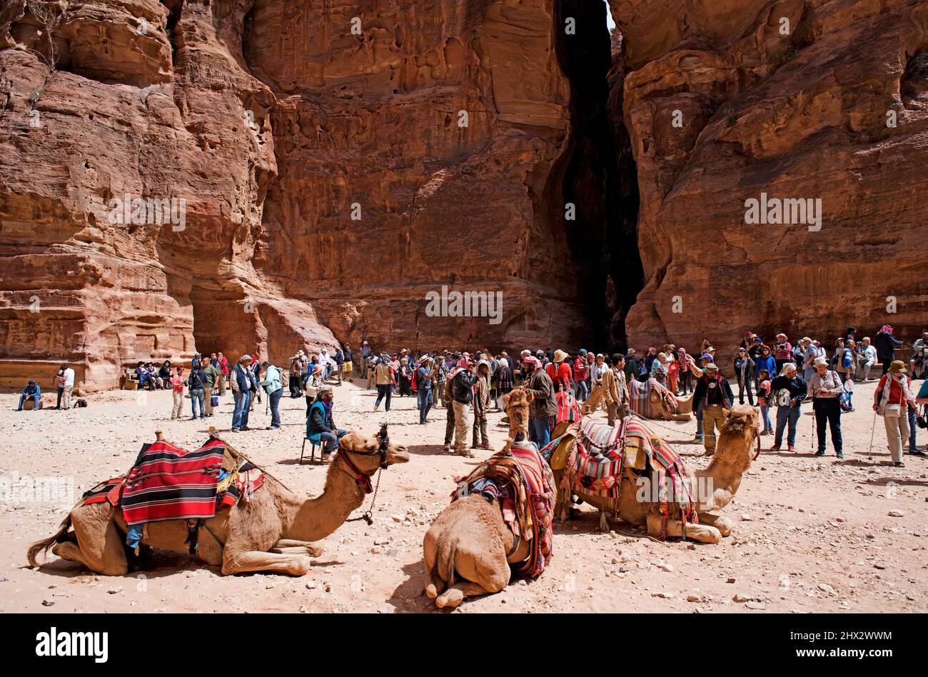 Petra, explanada frente a Al-Khazneh (el Tesoro). En la parte inferior el Siq. Gobernación de MA'an, Jordania. Foto de stock