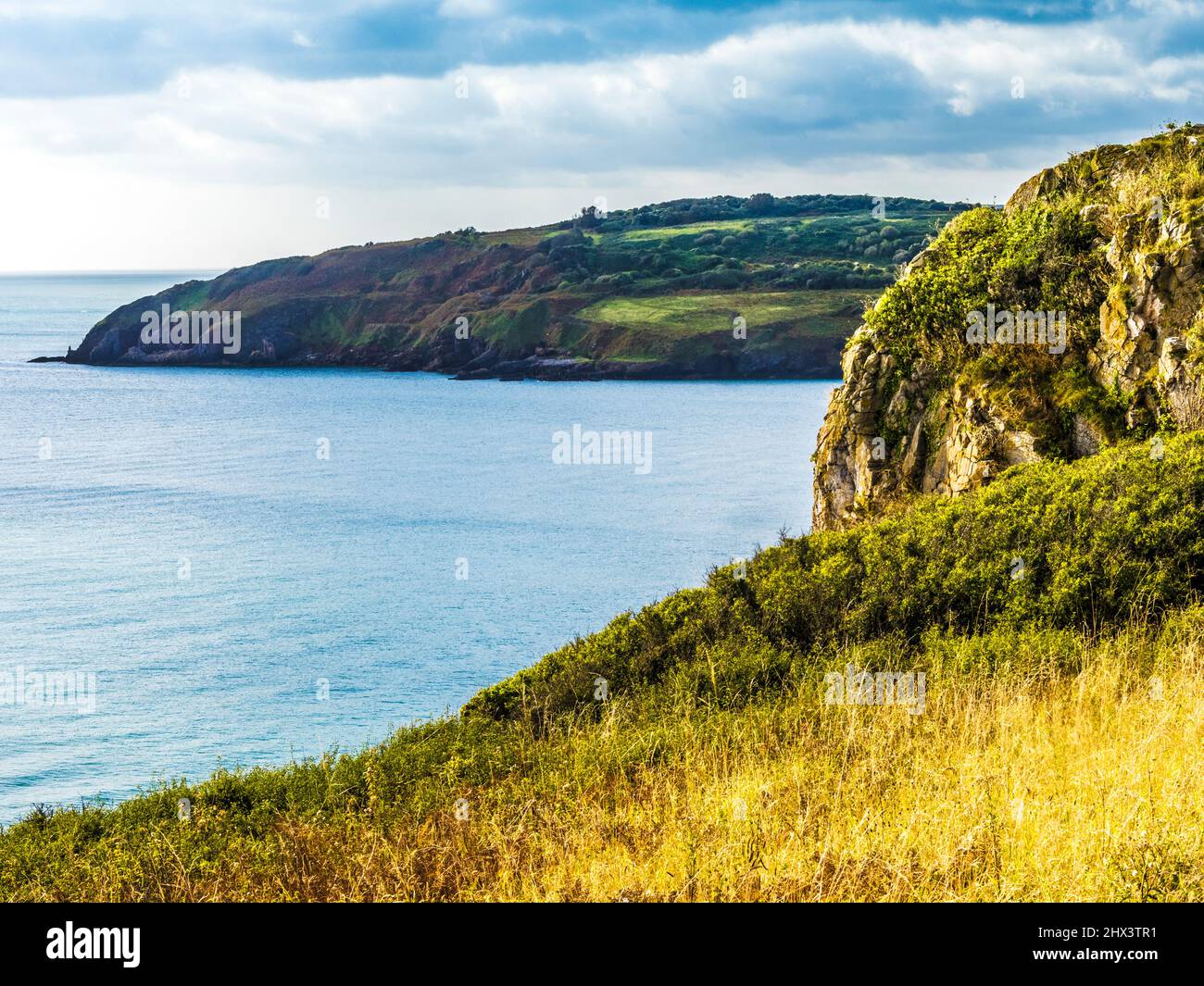 Vista desde South West Coast Path hacia St. Mary's Bay y Sharkham Point cerca de Brixham, Devon. Foto de stock