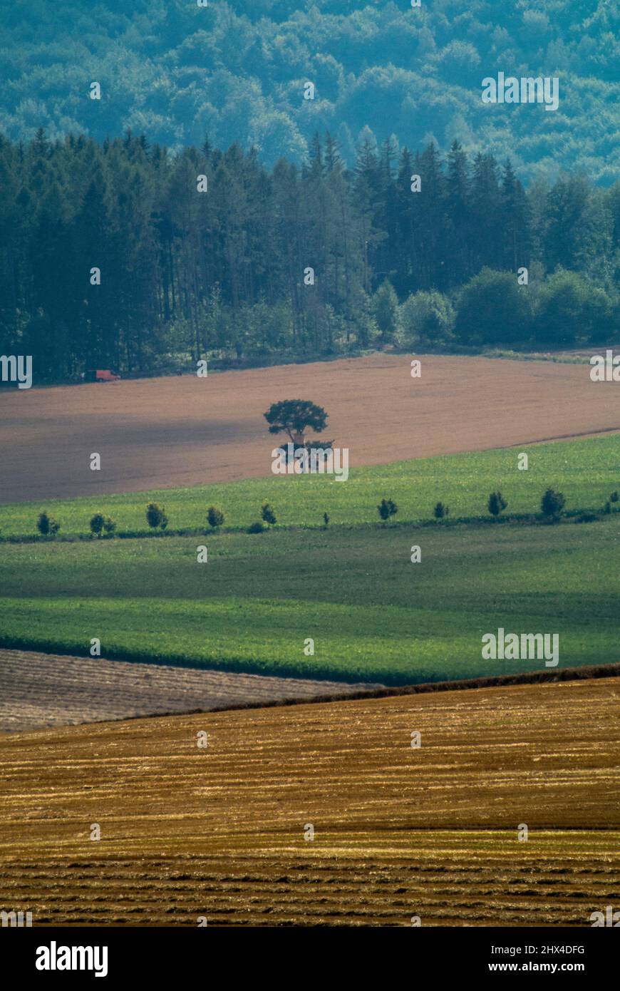 Barren, muelles de jabalí, desolación alrededor de las montañas Sudety, Polonia Foto de stock