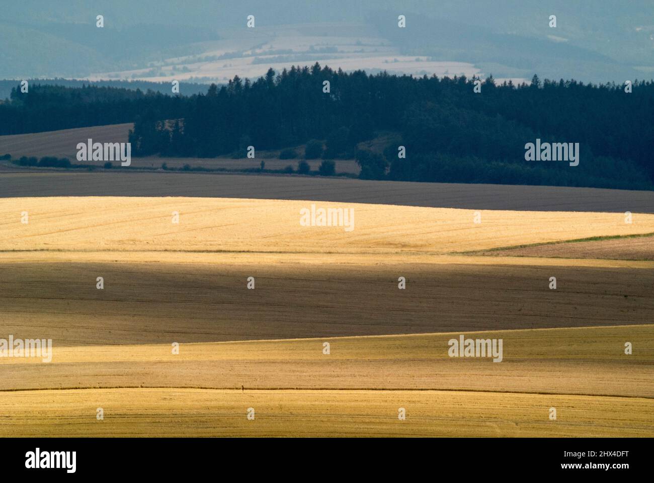 Barren, muelles de jabalí, desolación alrededor de las montañas Sudety, Polonia Foto de stock
