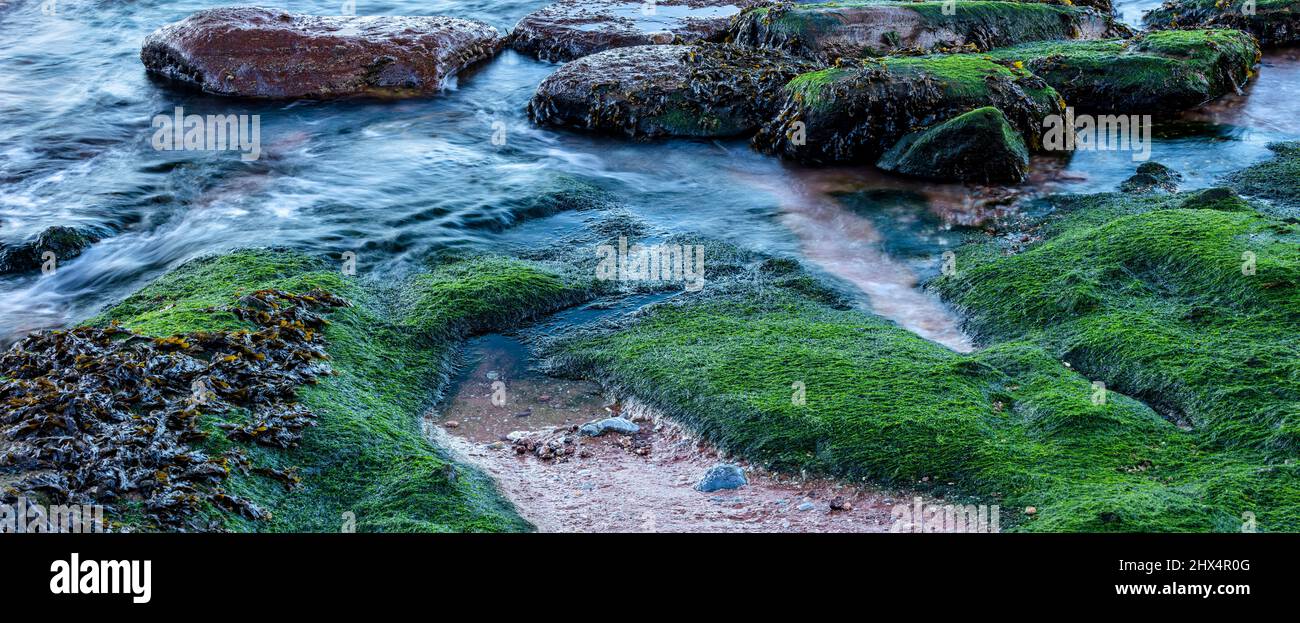 Imagen de bajo ángulo y obturador lento del puerto de Paignton Fotografía  de stock - Alamy