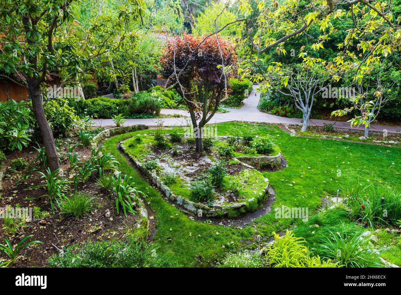 Exuberante jardín verde en forma de corazón. Foto de stock