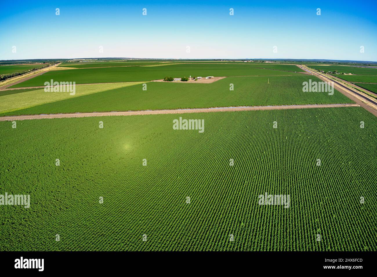 Aérea de campos de algodón irrigados cerca de Emerald Queensland Australia Foto de stock