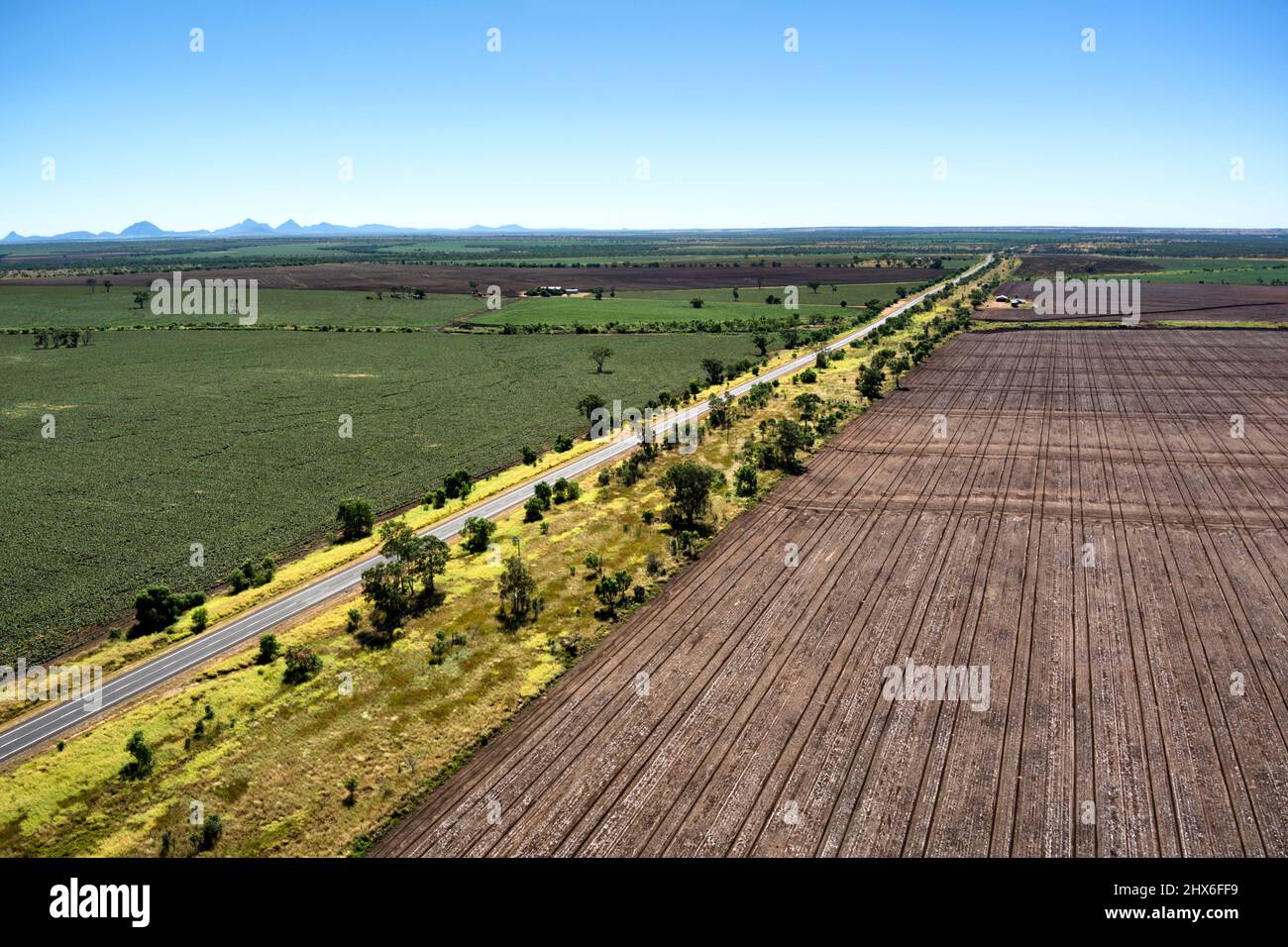 Aérea de campos de sorgo de gran tamaño a lo largo de la autopista Gregory cerca de Capella Queensland Australia Foto de stock
