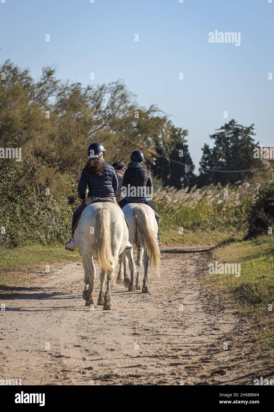 Jinetes en caballos blancos Camargue (Cavallo del Delta), Camargue, Provenza, Francia Foto de stock