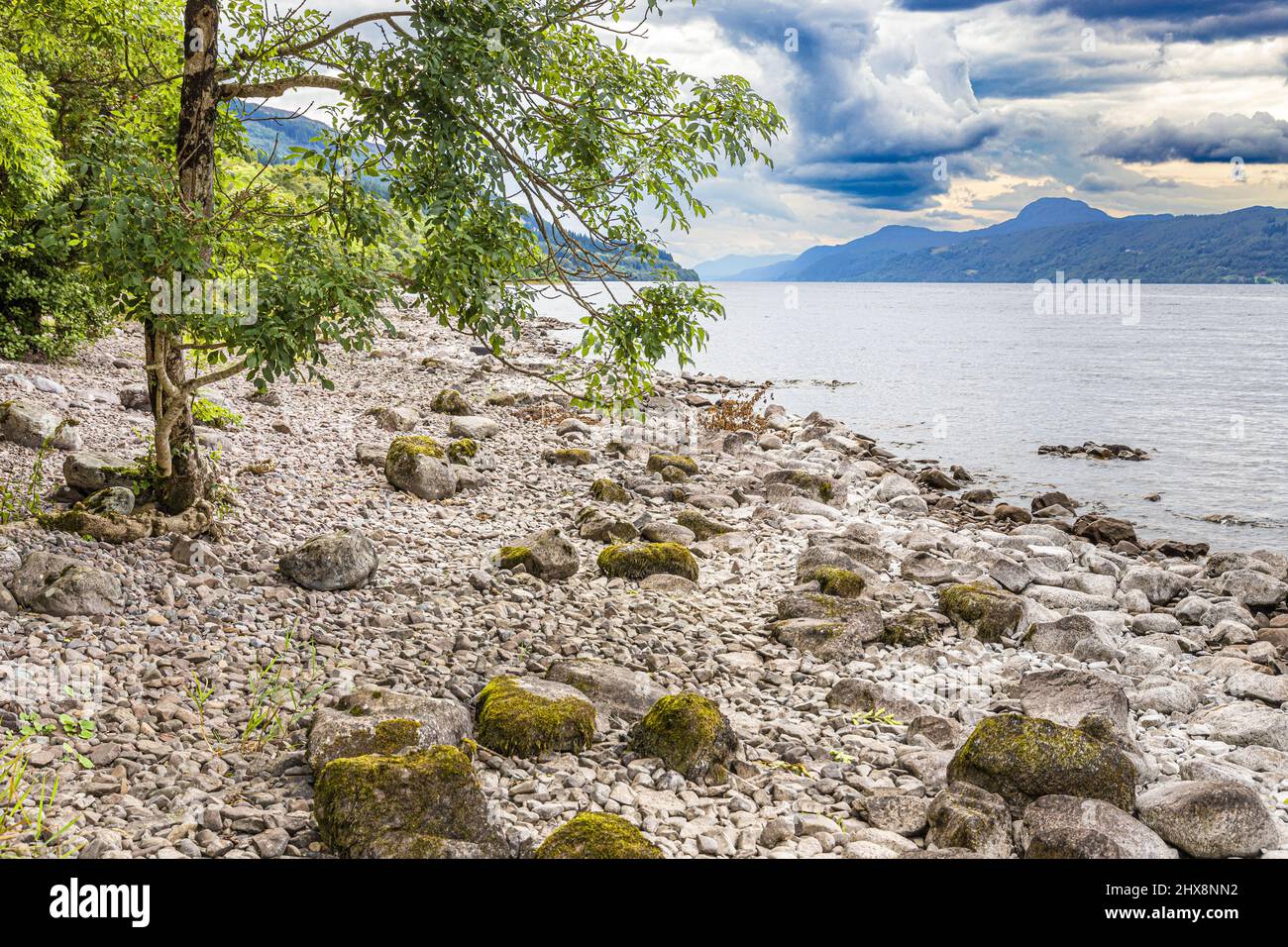 La orilla rocosa del lago Ness cerca de Dores, Highland, Escocia Reino Unido. Foto de stock