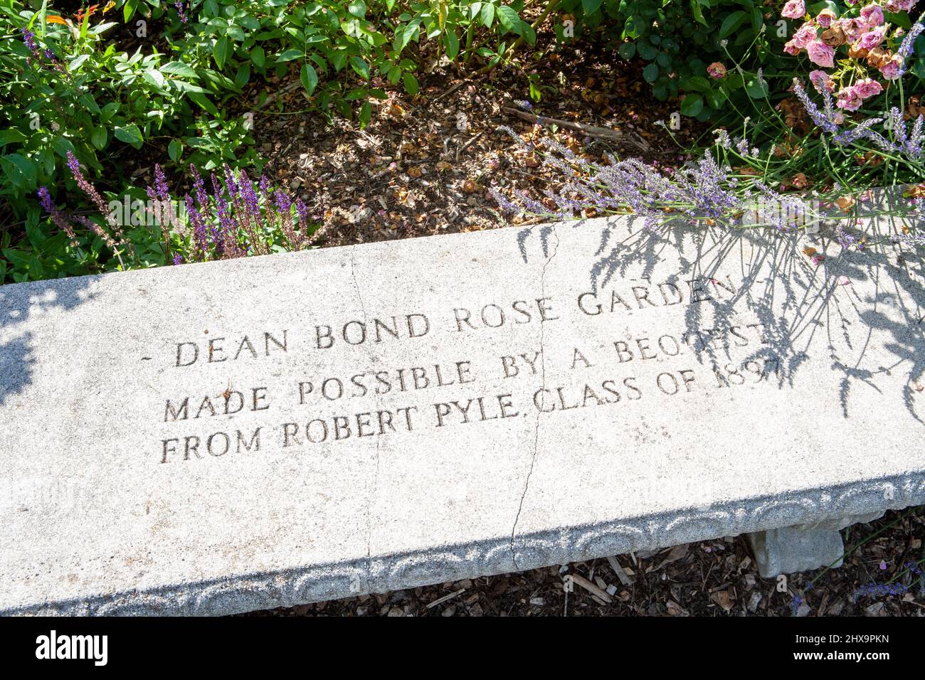 Detalle de banco de piedra, Dean Bond Rose Garden, Scott Arboretum, Swarthmore College, Swarthmore, Pensilvania, EE.UU Foto de stock