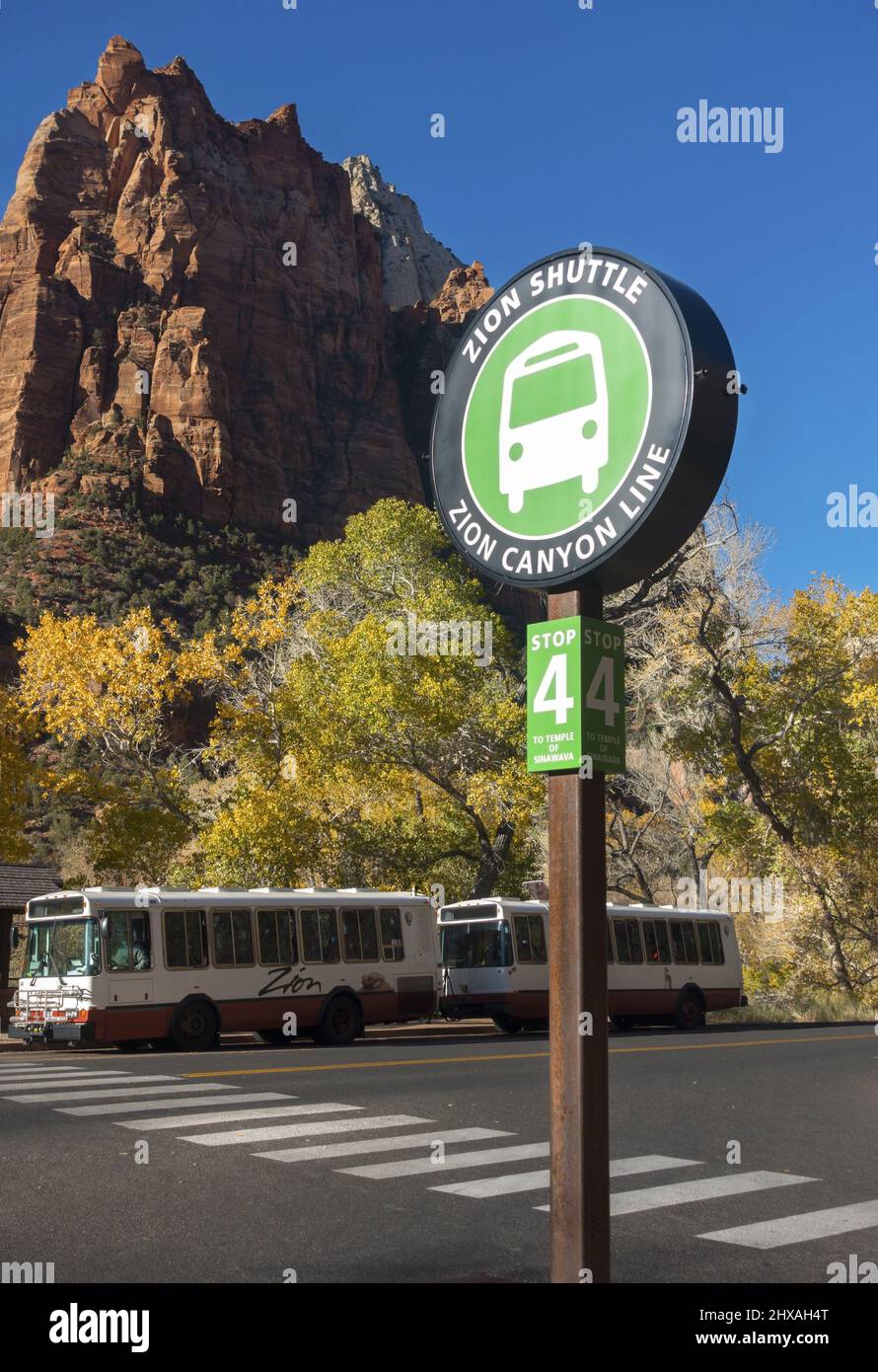 Señal de parada de la estación de Canyon Line con vehículos de autobús estacionados y Red Rock Cliffs en el fondo. Día soleado de otoño en el Parque Nacional Zion, Utah, Estados Unidos Foto de stock