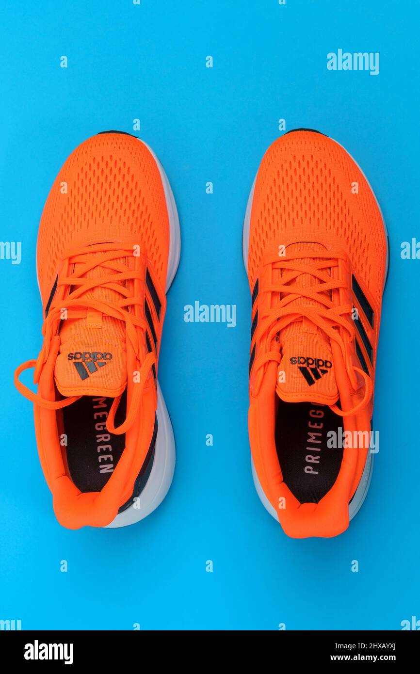 Aleta portátil Cámara Tyumen, Rusia-13 de noviembre de 2021: Nuevas zapatillas de running Adidas.  Logotipo de adidas, empresa multinacional. Fondo azul Fotografía de stock -  Alamy